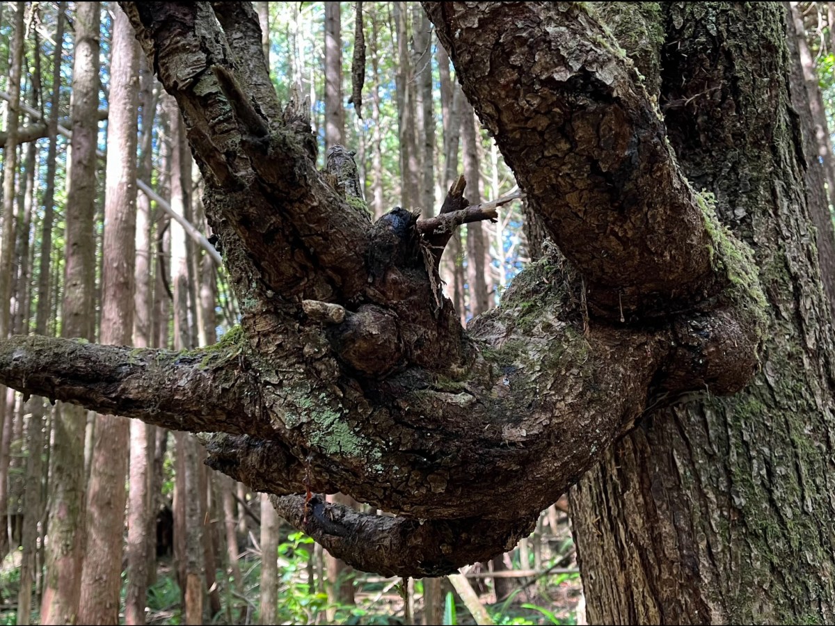 “As a Musician do I need to pay taxes in Washington State?”